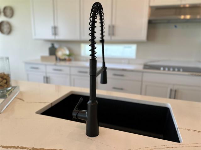 Kitchen Faucet