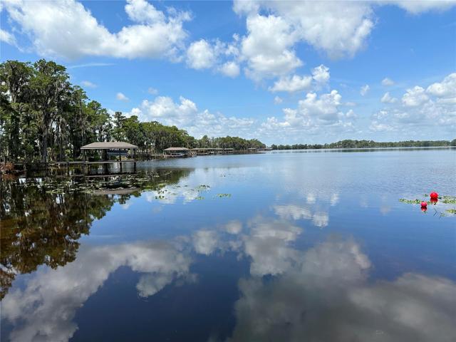 Lake Pickett