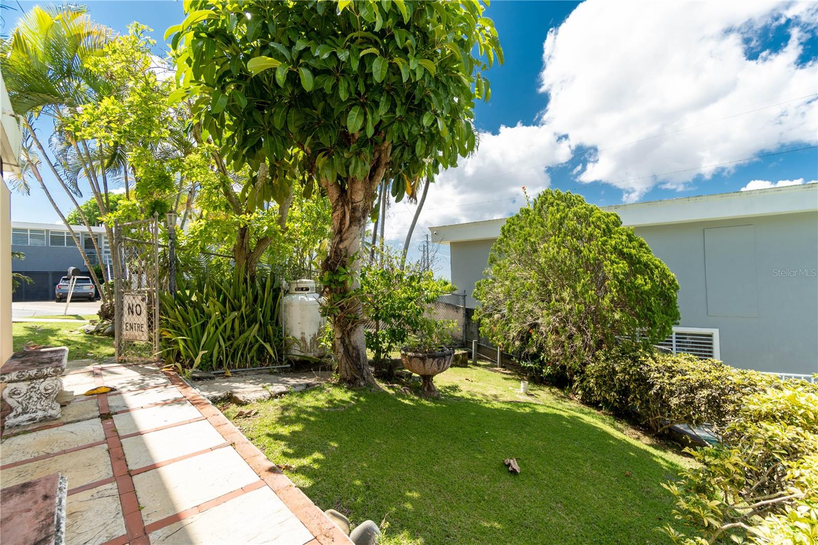 backyard