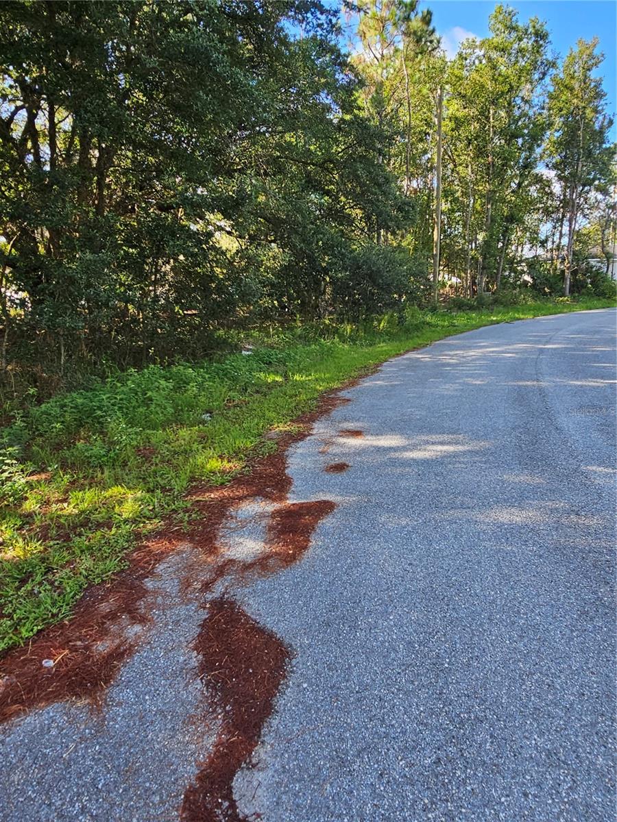 Poinciana, Florida 34759, 0 , 0 ,0,Land,For Sale,SAIL,0,T3451900