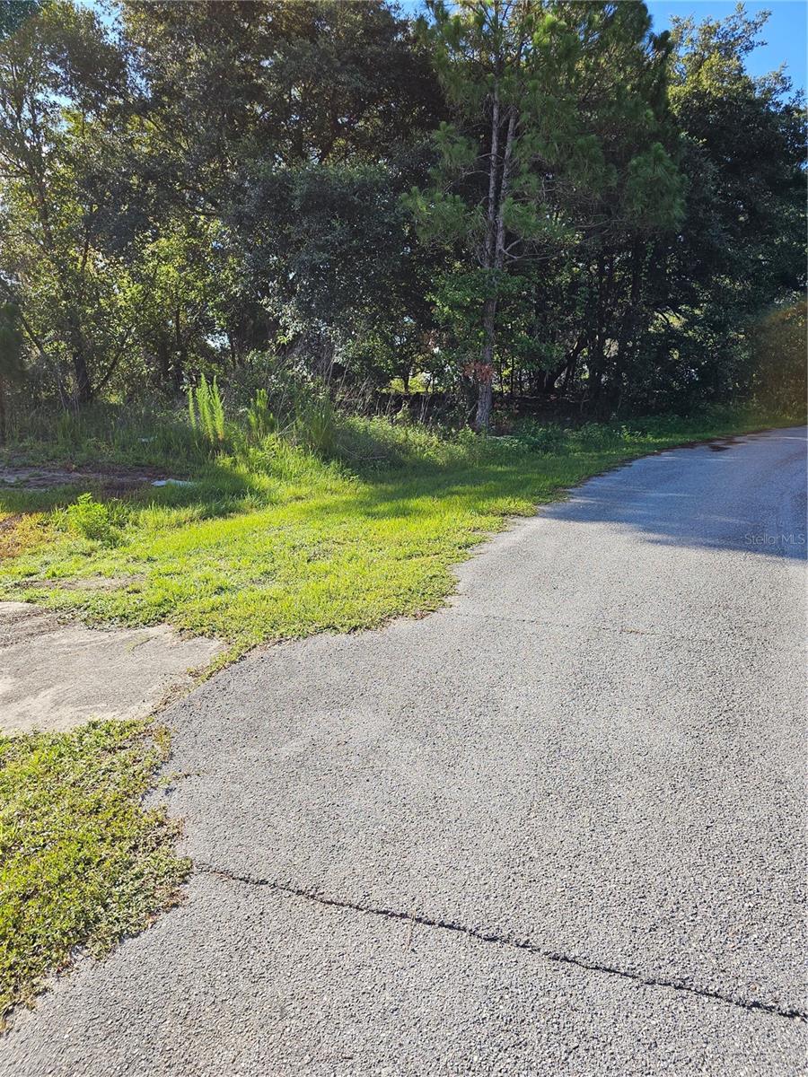 Poinciana, Florida 34759, 0 , 0 ,0,Land,For Sale,SAIL,0,T3451900