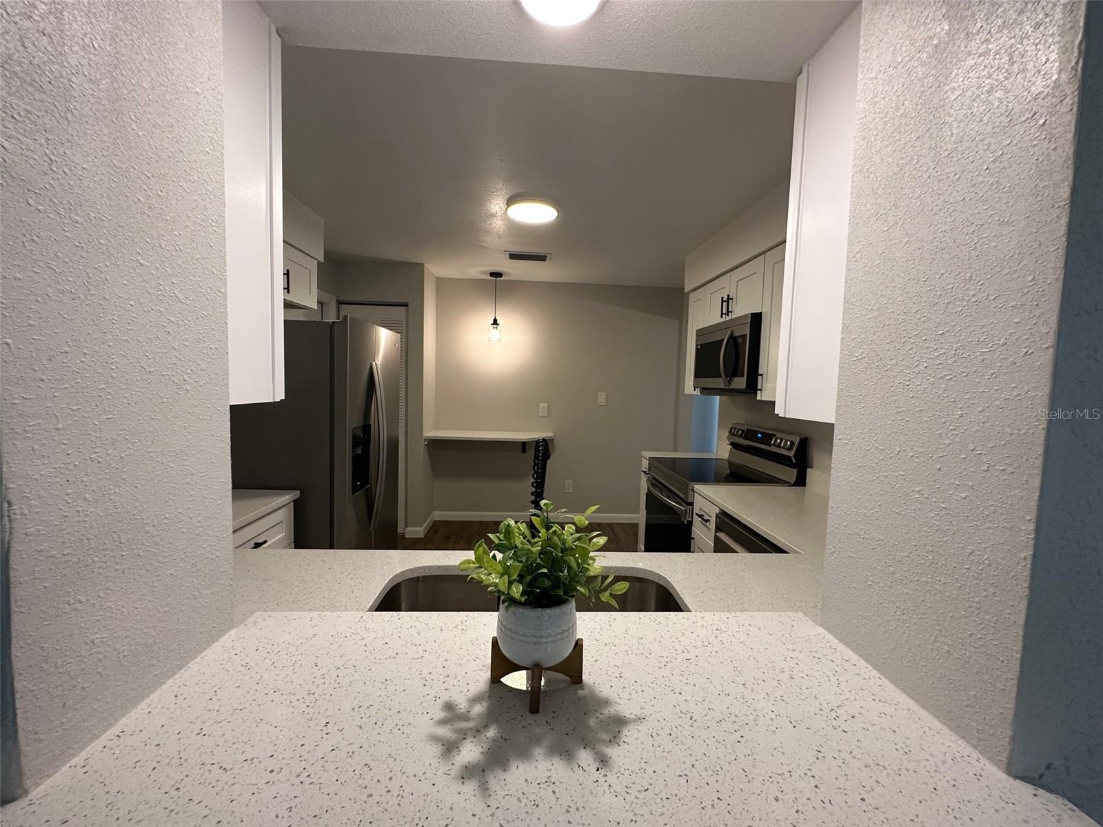 Opening from Kitchen Sink overlooking Family Room and Backyard