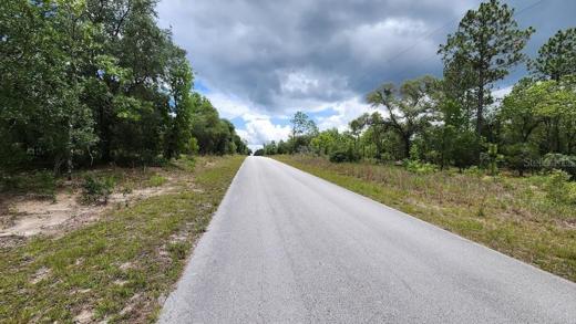 Pine Bluff Rd