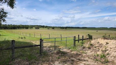 Pasture that lot 33 backs up to.  This picture taken from the end of Viburnum