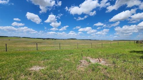 Pasture, taken from end of Viburnum ,  I have not walked to the back of lot 33 to take pictures yet.