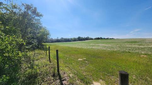 from the back of the lot looking west along the fence line