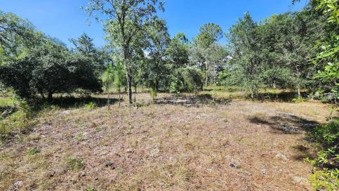 very open lot, wooded, but not a heavey, looking north  up hill from the middle of the lot
