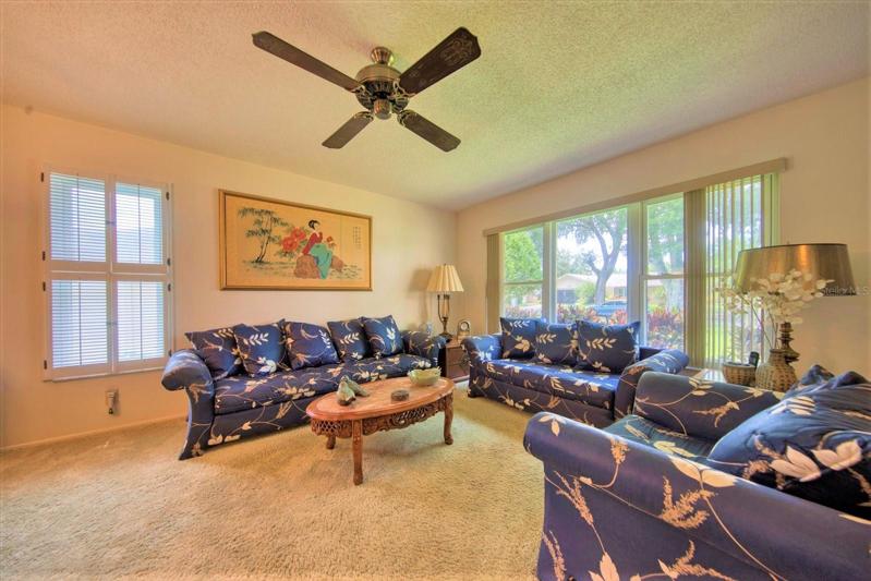 Light and bright spacious living room