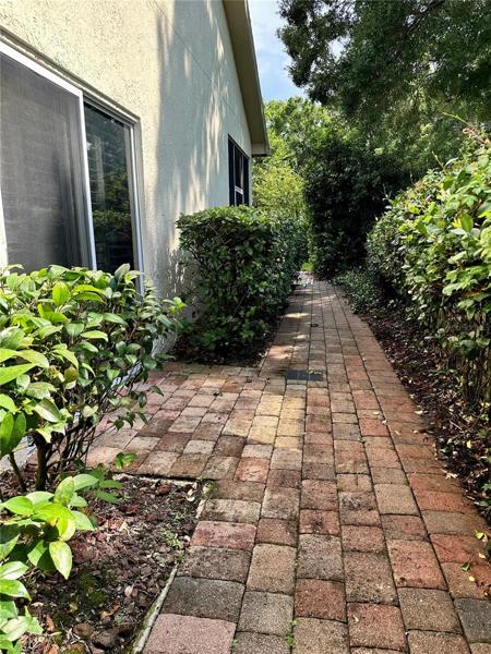 Pathway to backyard