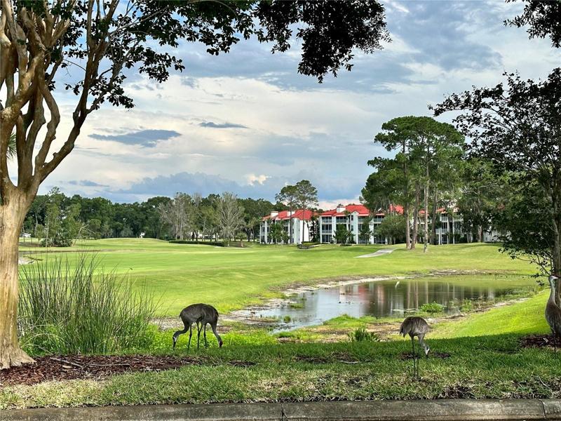 Golf Course