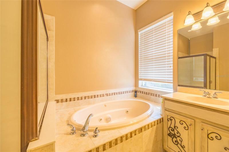 Master Jacuzzi Tub