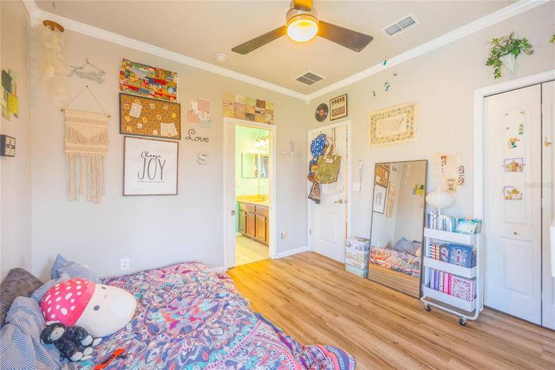 Back Bedroom