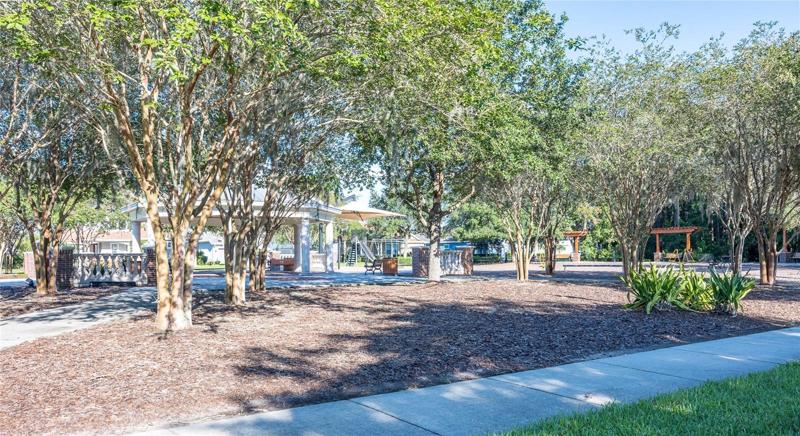 Community Park