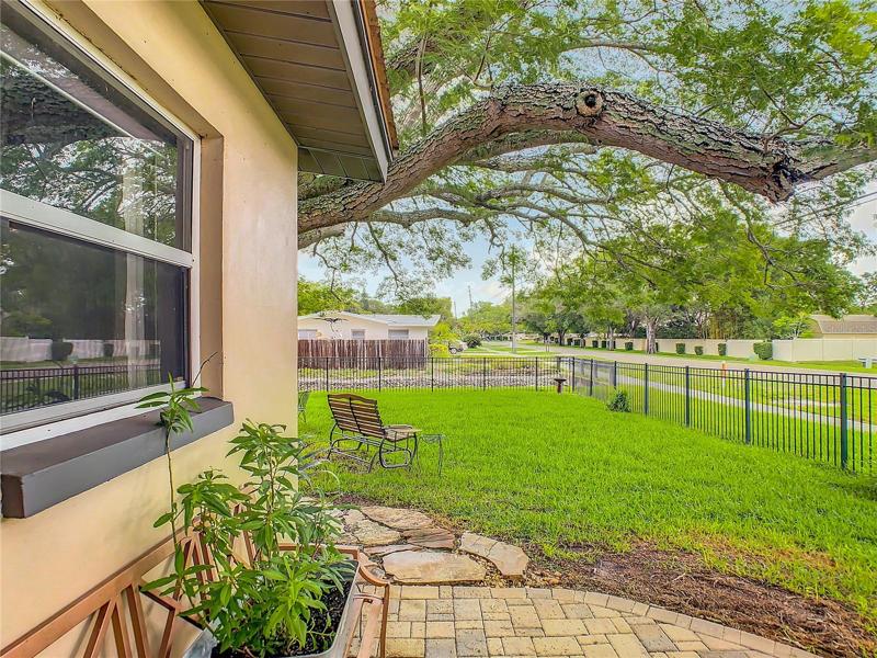 Relaxing backyard