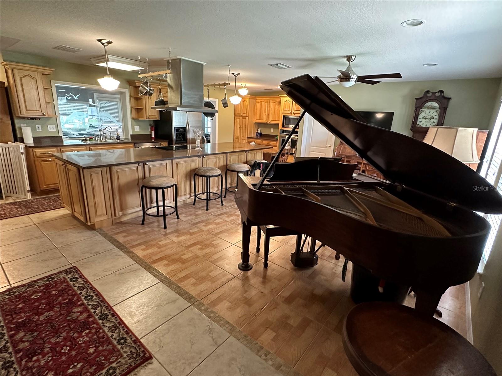 Family Room and Kitchen