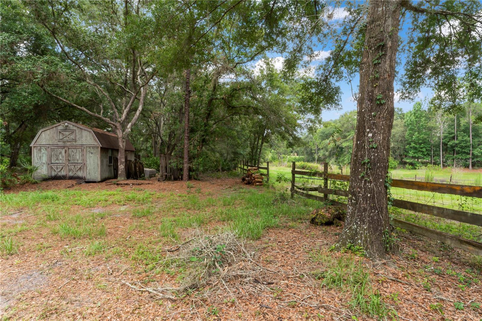 Large Barn/Storage Shed