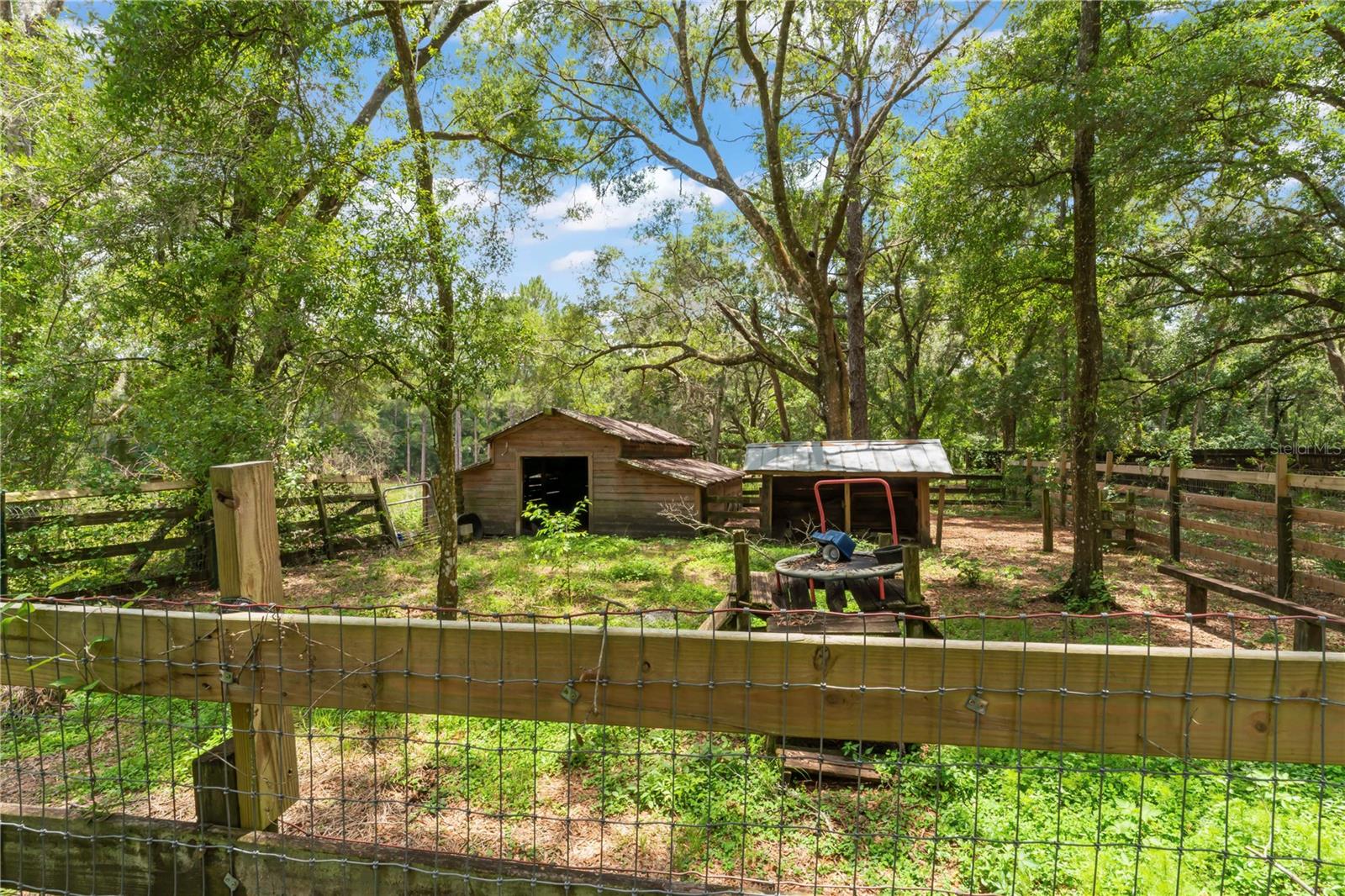 Fully fenced goat pen with shade barns and structures