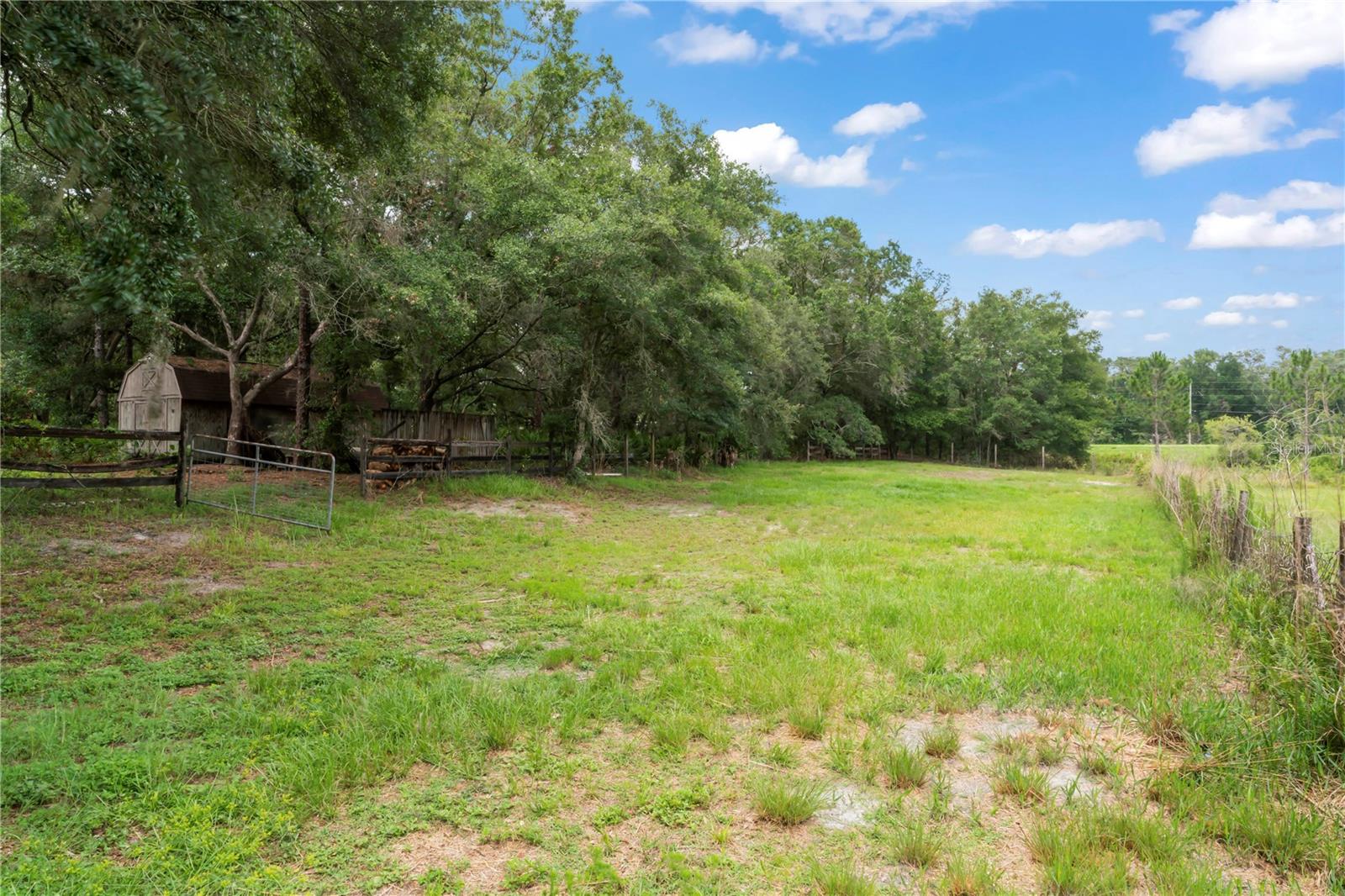 Natural fully fenced Pasture continuation for Animals