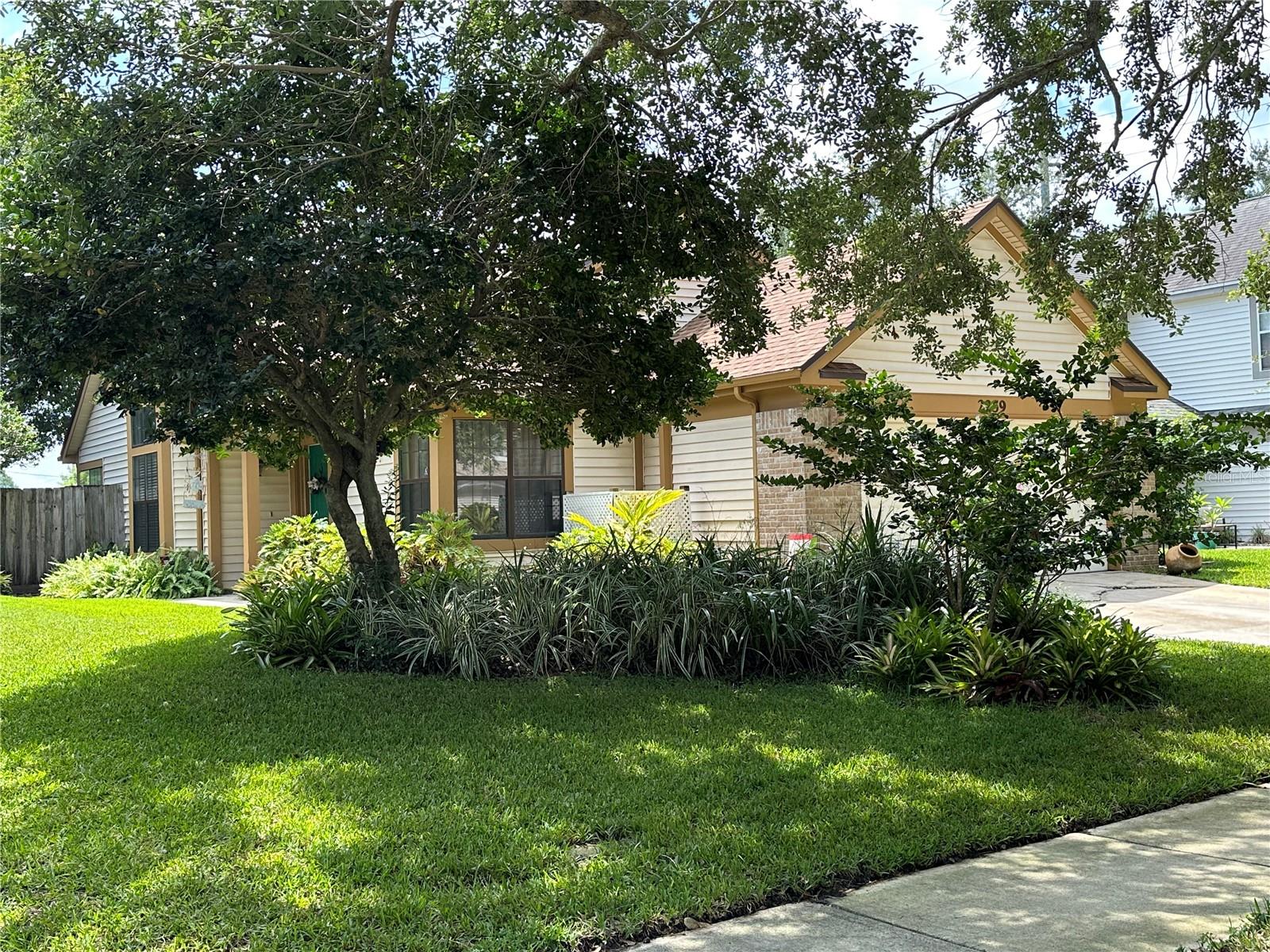 Front Yard