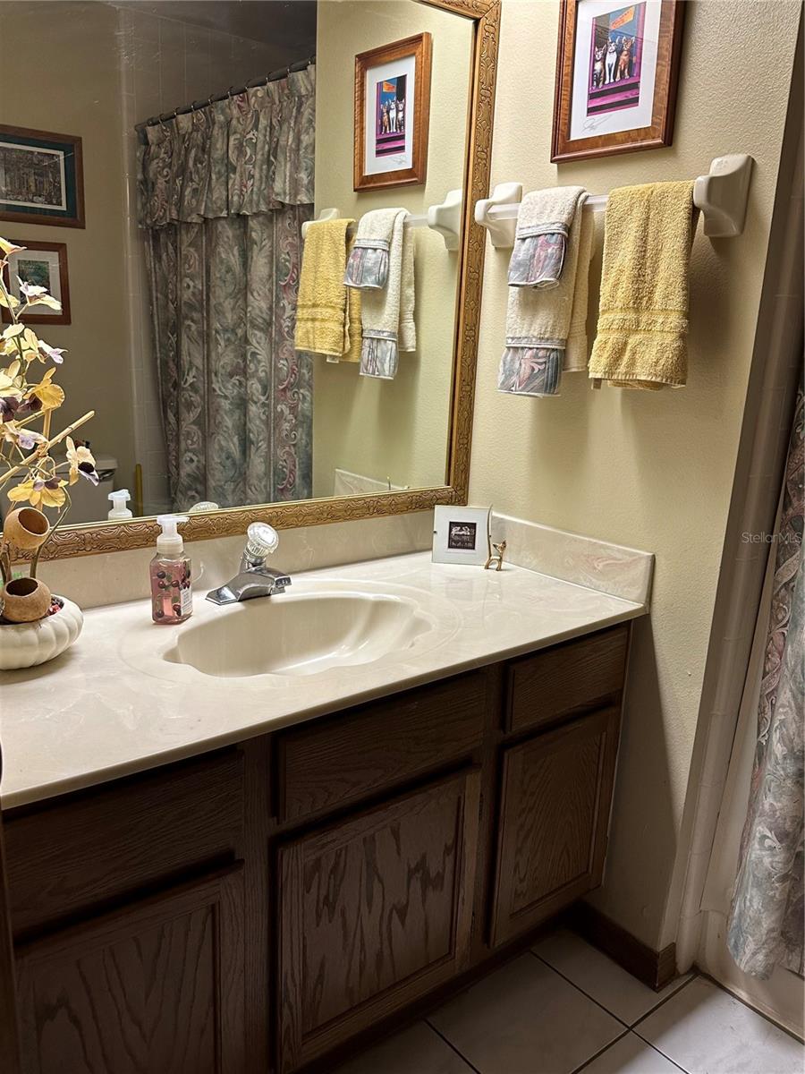 Guest Bath