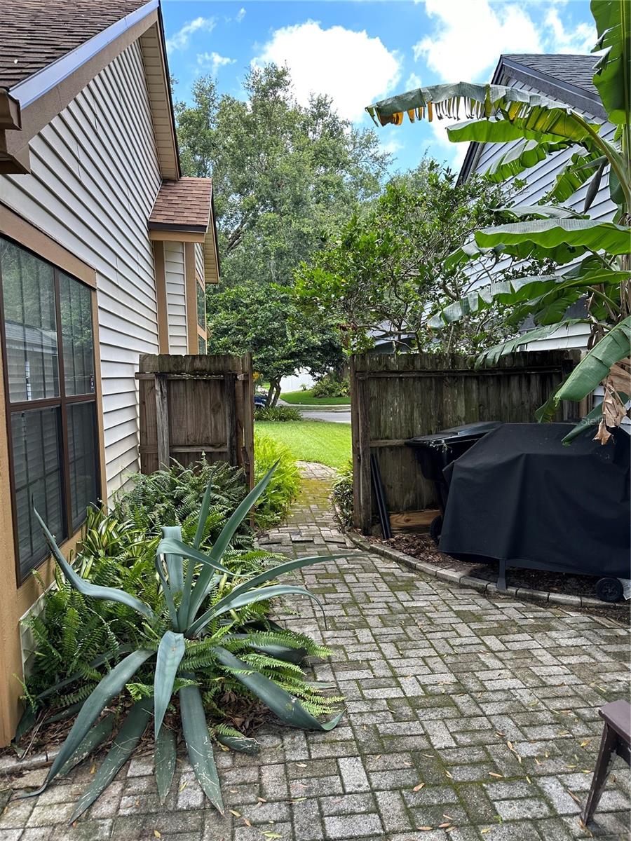 Patio and Grilling area