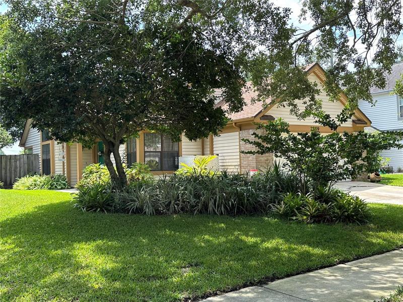Front Yard