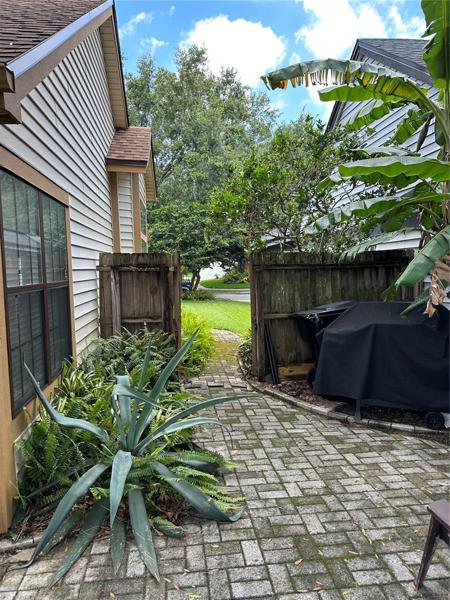Patio and Grilling area