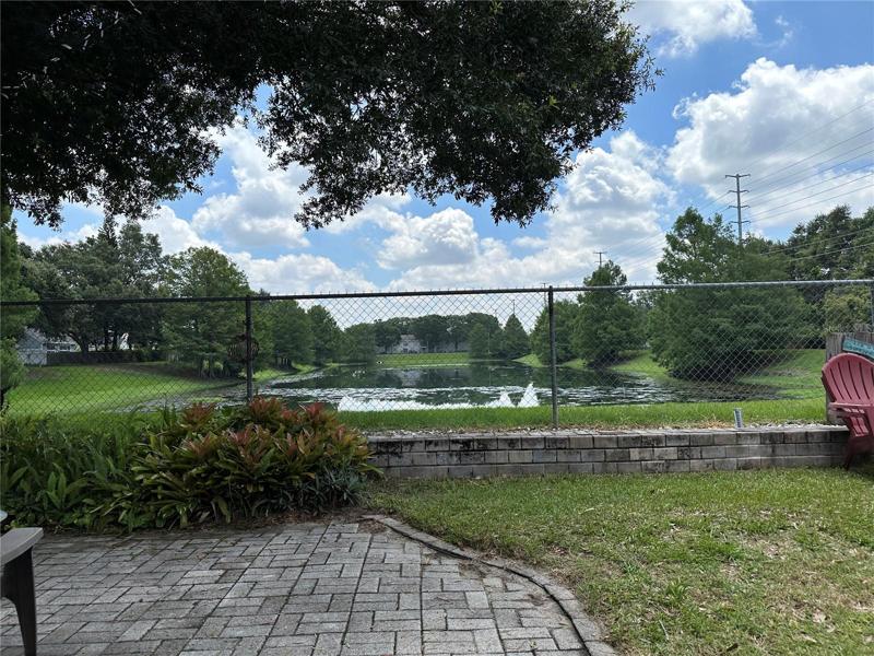 Backyard view of pond