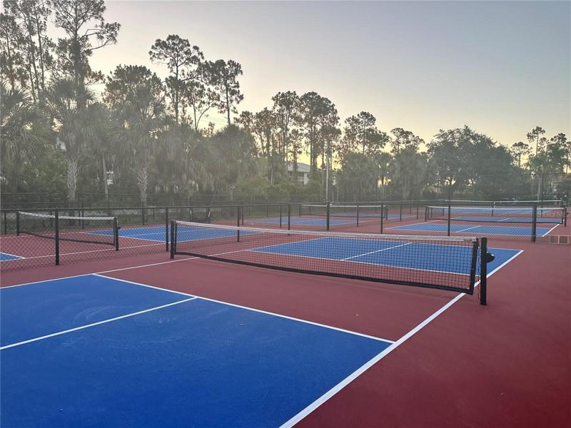 Picked Ball courts