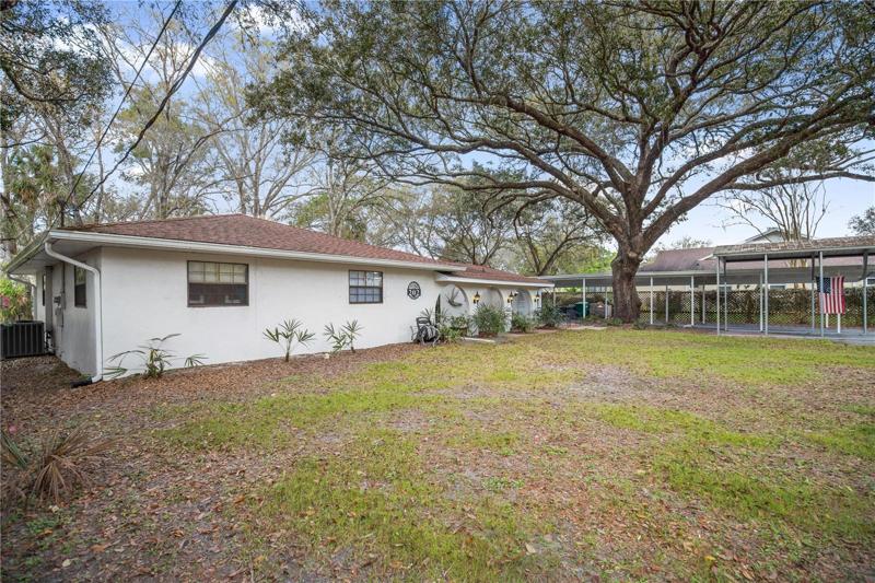 Large front yard