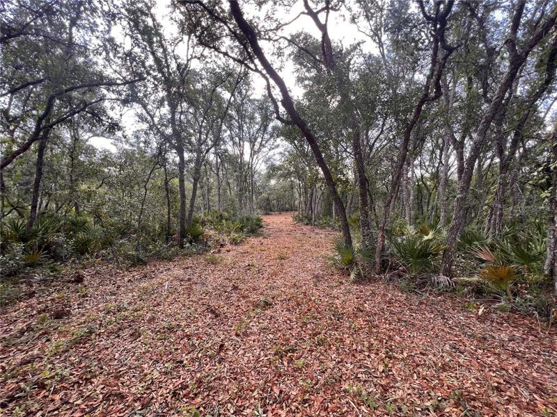 From the start of the pathway