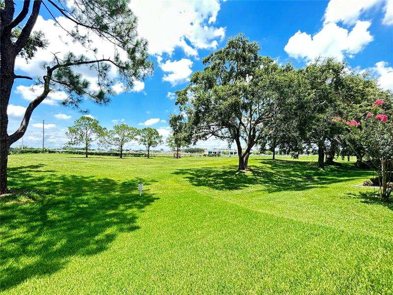 golf course view