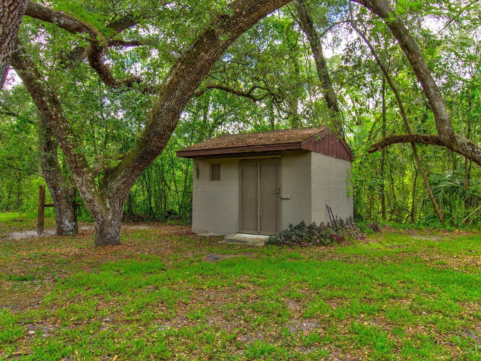 Shed