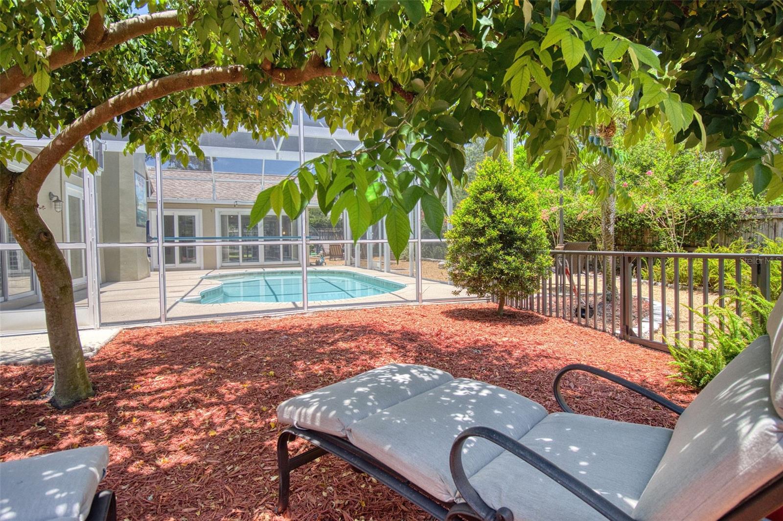 Relax under the star-fruit tree and read a book.