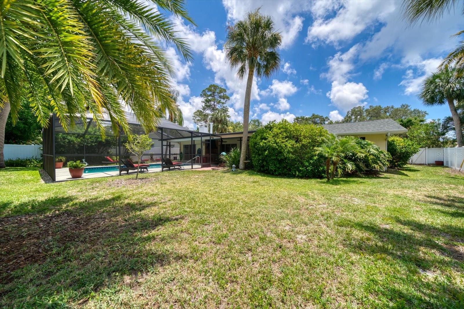 Large Backyard