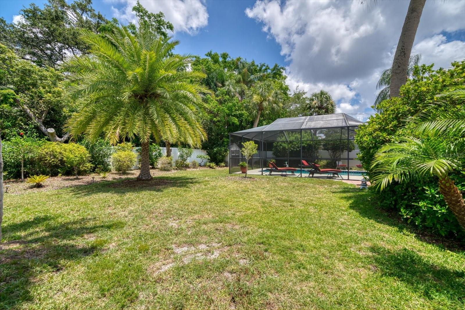 Large Backyard