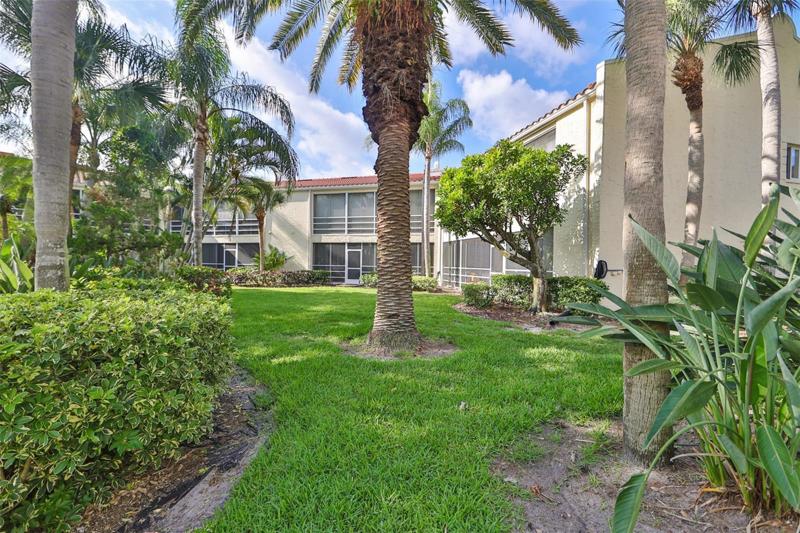 Backyard area