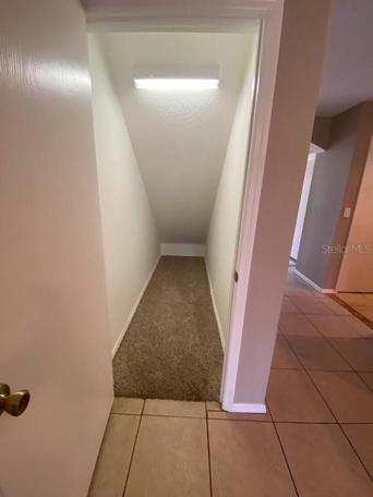 Storage under the stairs