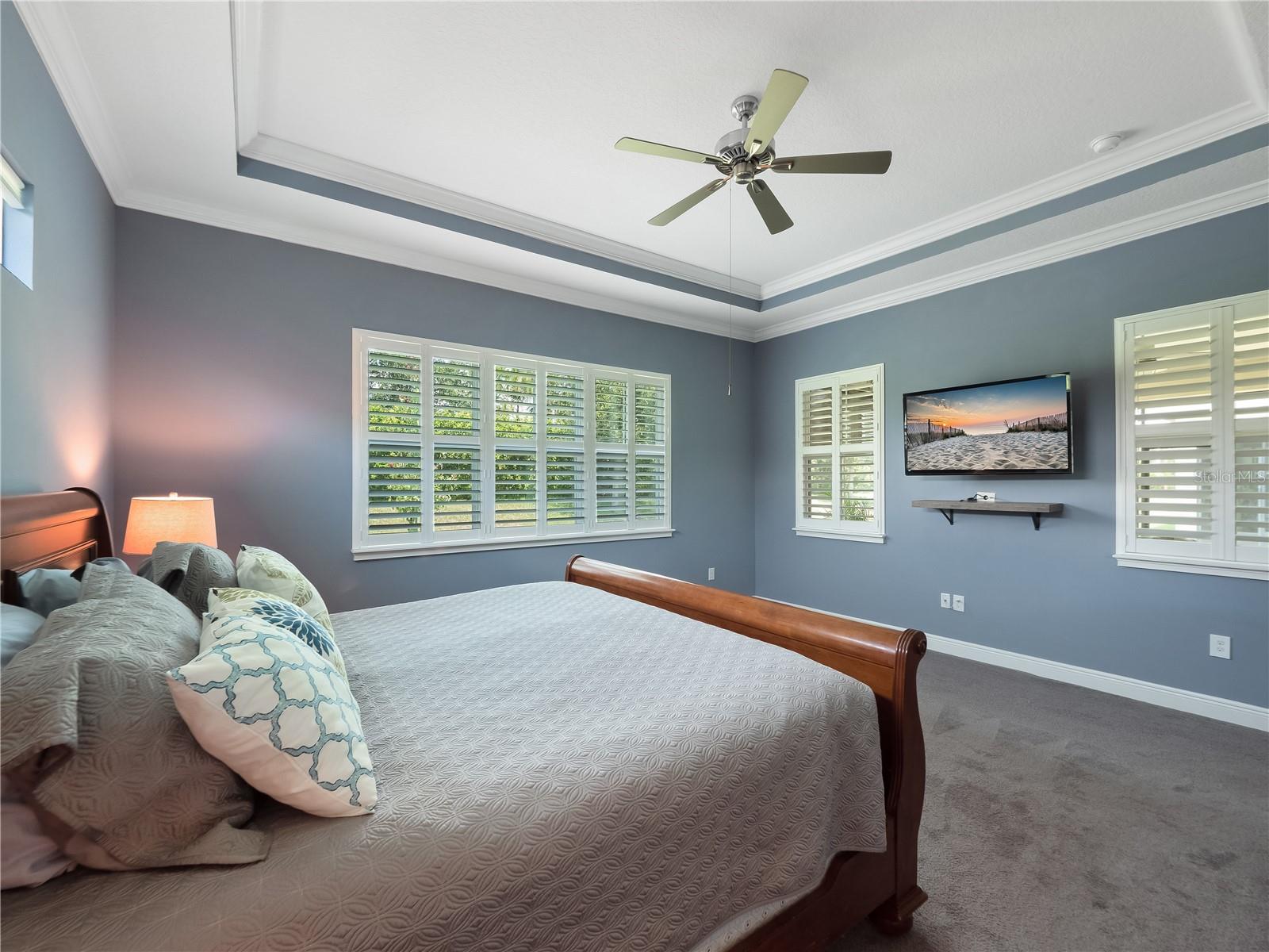 Tray Ceilings and crown molding