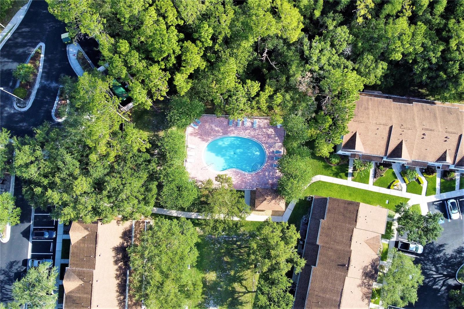 Community pool