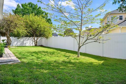 Plenty of space to add a Pool