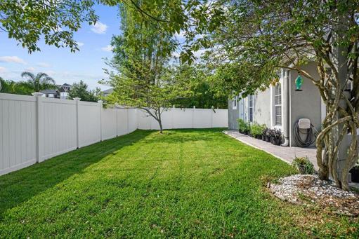 Backyard view