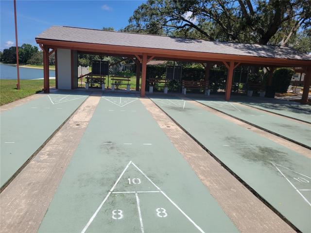Shuffleboard