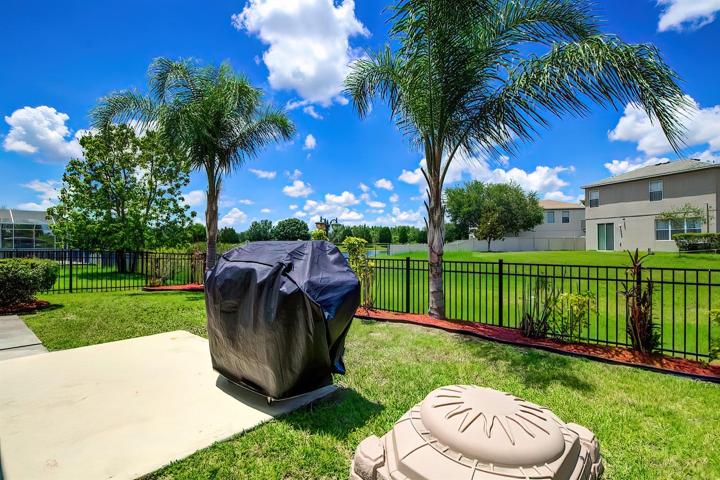 Backyard extends beyond fence line.