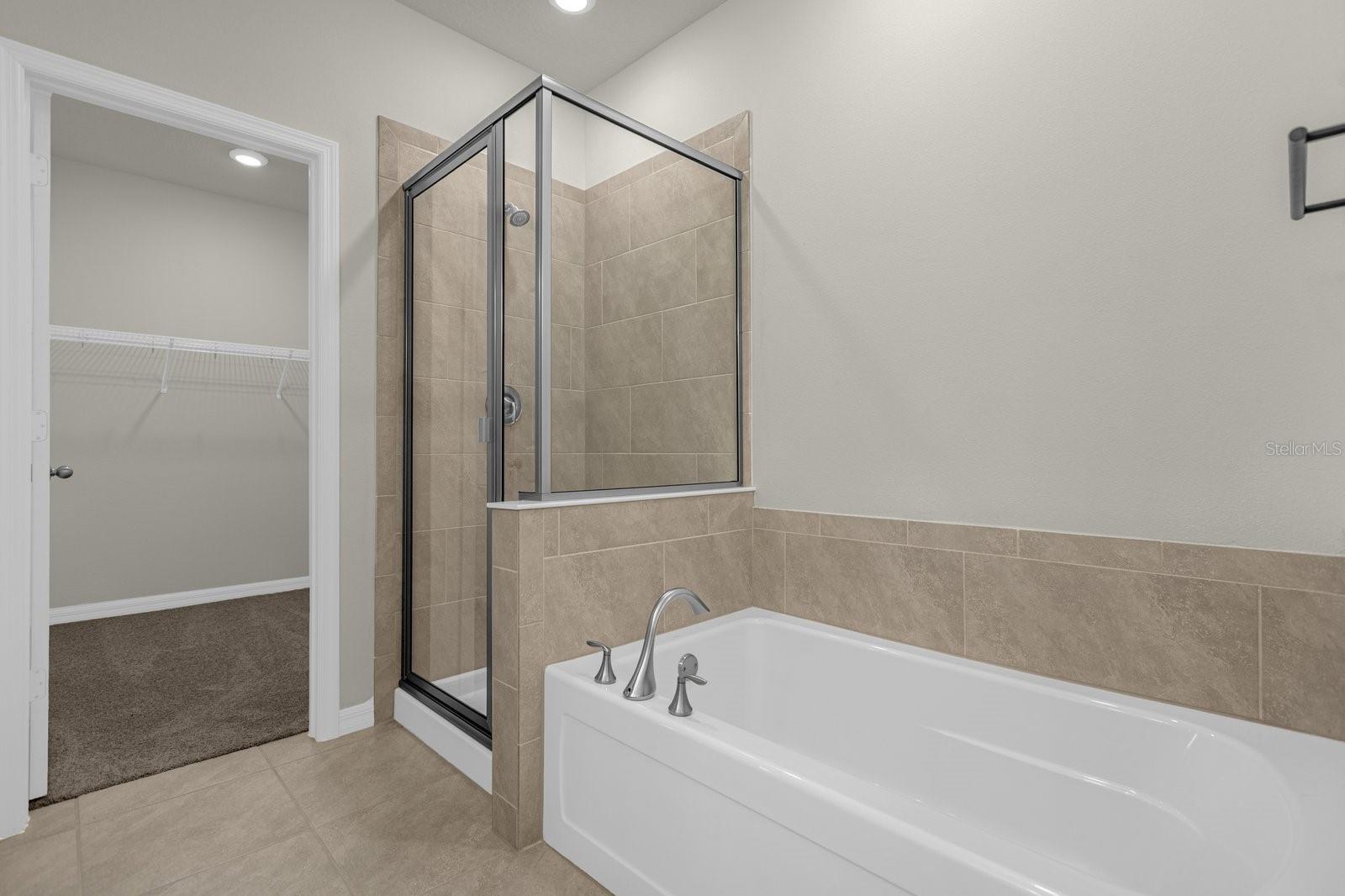 Master bath tub, shower, walk in closet