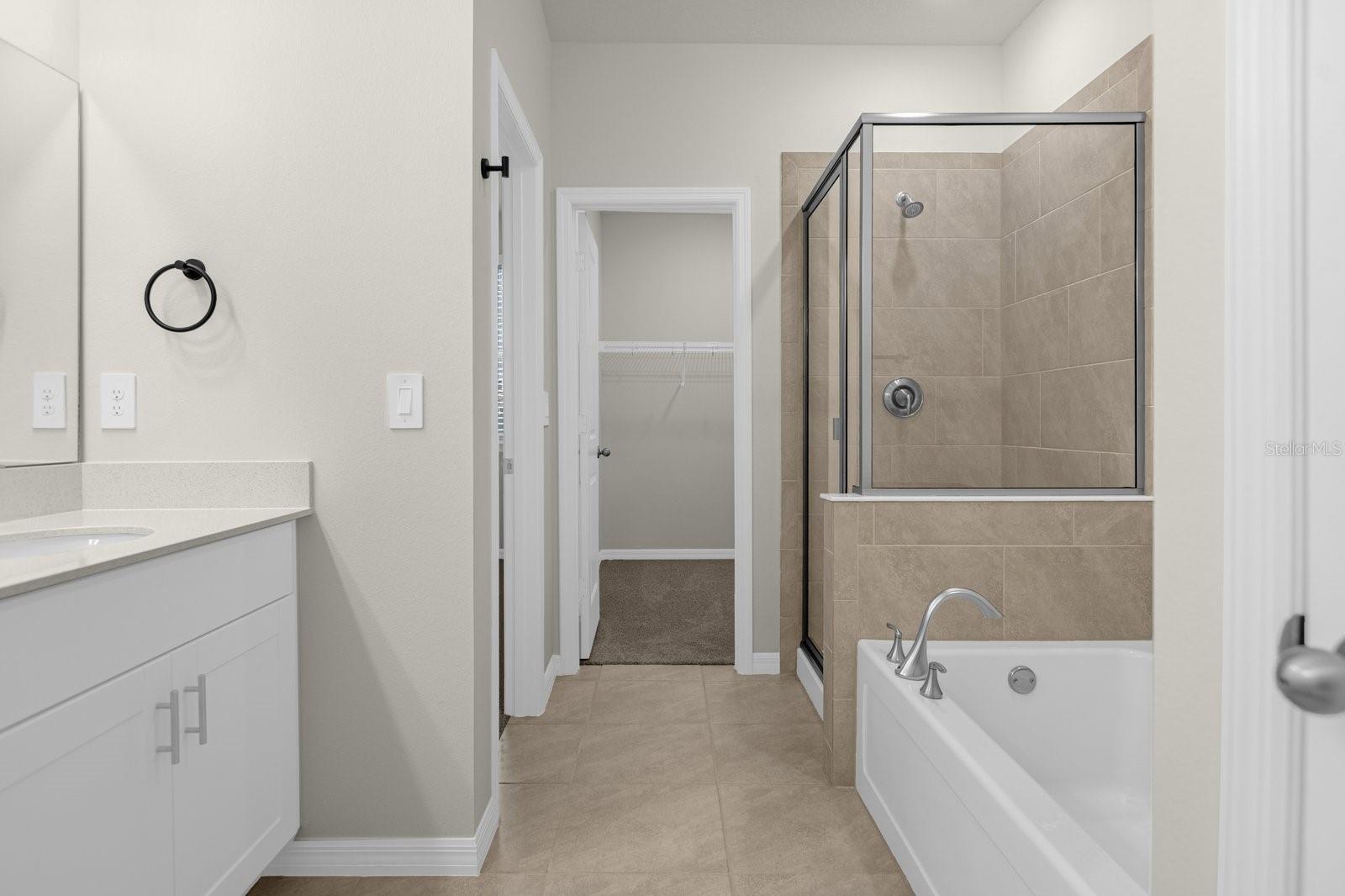 Master bath tub, shower, walk in closet