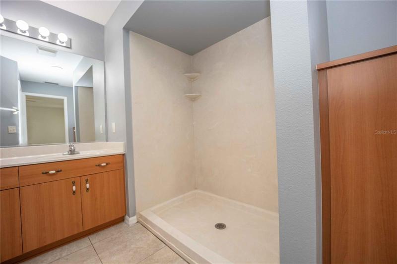 Master bathroom with walk-in shower