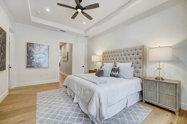 beautiful tray ceiling