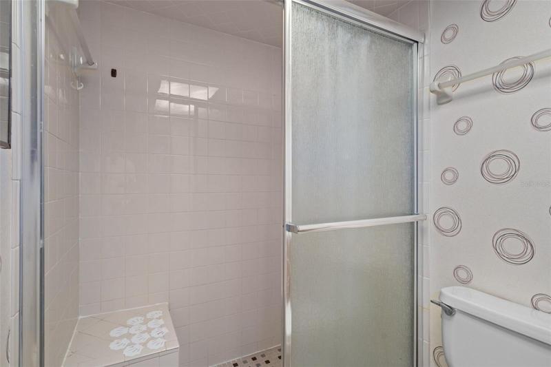 Master Bath Walk in Shower