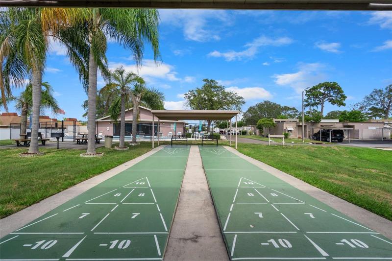 Community Shuffleboard